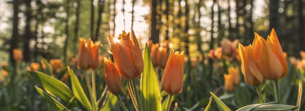 News Item Test Title 101