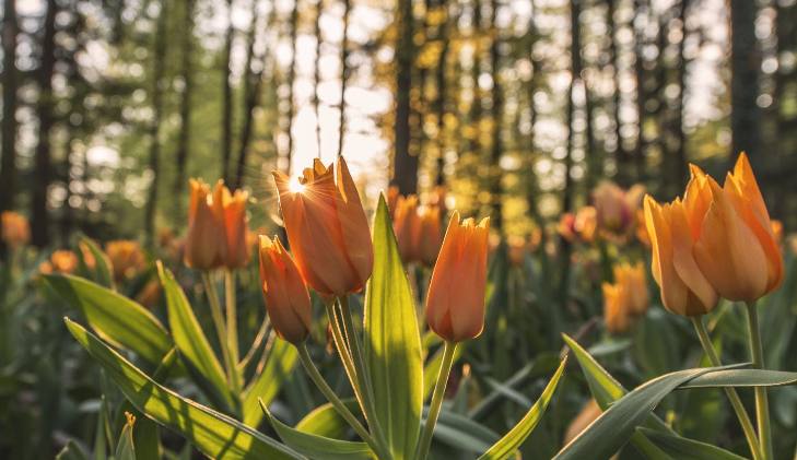 News Item Test Title 102