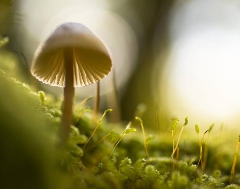 Test Products Title 101